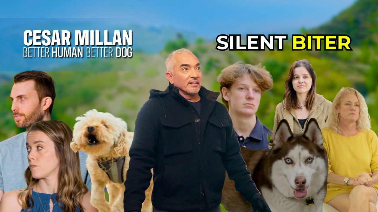 Этот мини-пудель похож на Джекила и Хайда | Лучший человек, лучшая собака | S02E10