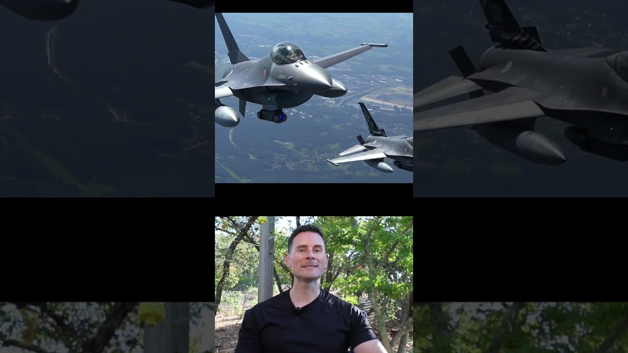 How Does A Bird Take Down An F-16?