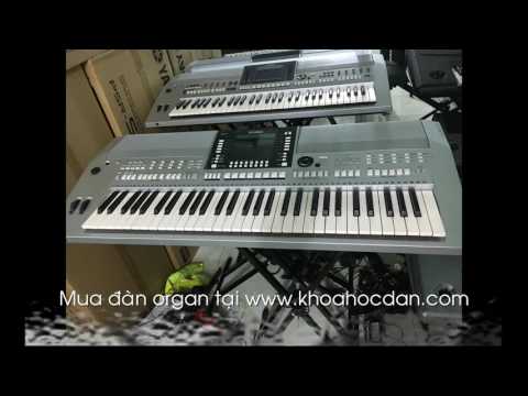 Video Mua đàn organ ở đâu tại TPHCM - YouTube
