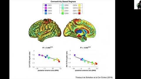 10 Brain Gradients