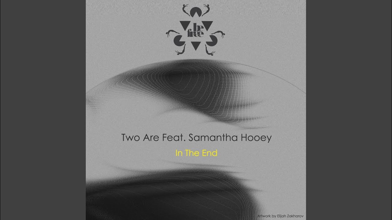 In The End (Extended Mix)