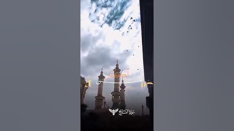 محمد رسول الله ـ سورة الفتح #قران_كريم
