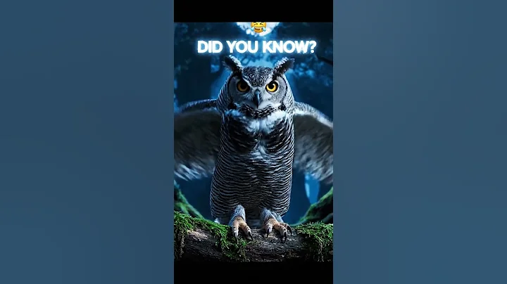 “Did You Know? The Forgotten Genius Who Predicted Wi-Fi in 1942!”