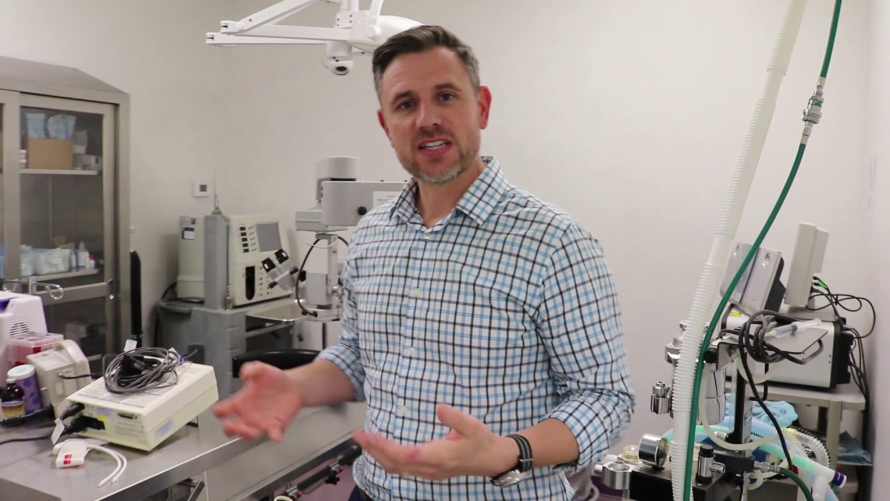 Digger Visits Animal Eye Specialty Clinic, 2019 YouTube