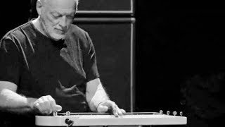 David Gilmour's Steel