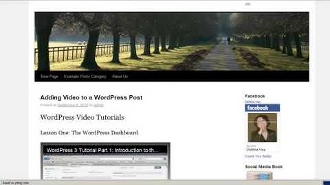 WordPress 3 Tutorial 13_ Creating Custom Widgets and Badges for Your Website