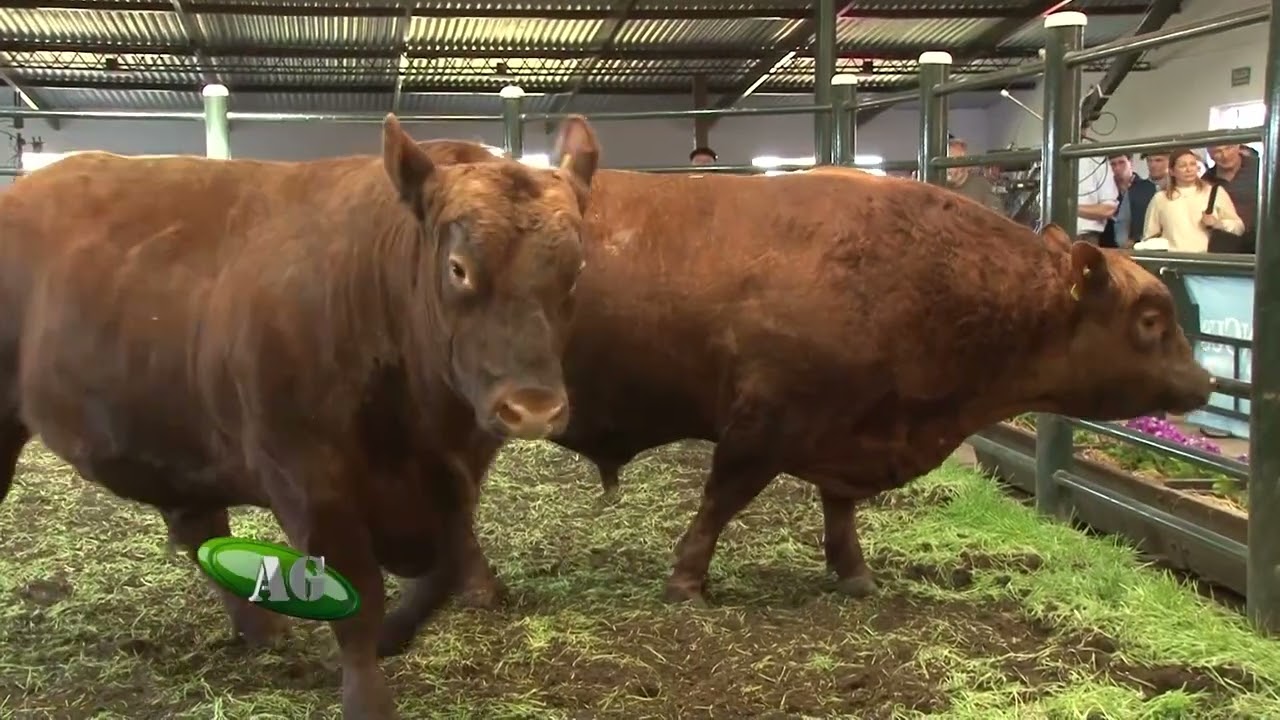 Agenda Ganadera - Eduardo Barcia - 9-9-25