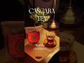 What is Cascara Tea? #coffee #fyp #viral #shorts  #barista