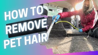 How To Remove Pet Hair From A Car | Mobile Detailing Business