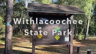 Mutual Mines Campground wildlife