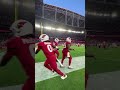 Do your dance, Tony  #azcardinals #nfl