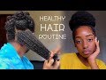 My HEALTHY HAIR Routine 2018 | cheymuv