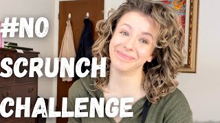 I Tried the No Scrunch Challenge - Game Changer or DISASTER?? | Fine 2C-3A Wavy Curls