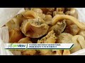 GIS Preview - VI Conch And Whelk Season Closes On August 15 to October 31