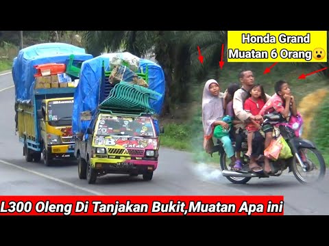 Video: Apa Itu Sedikit?