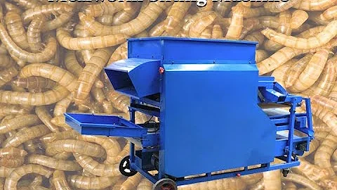 Fast Mealworm Sifting/Sorting Machine for Sale | Commercial Larvae Pupae Separator/Sifter