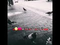 معقوله وتصير الماحسبتلها 