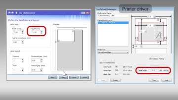 Epson ColorWorks TM-C3500 | Setting Label Dimensions in Codesoft