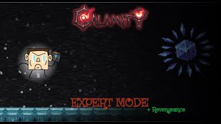 Terraria Calamity | Cryogen | Expert   Revengance mode