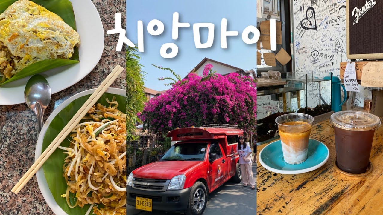 태국 치앙마이 여행🇹🇭너무 좋잖아,,💚 천원대 팟타이.로컬맛집.감성카페.핫플.가성비숙소.올드타운.와로롯시장.야시장.수끼 | chiang mai vlog