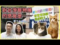 【移民台灣生活】去台北寵物展...原來是美食嘉年華會？還買了這個給貓咪，他們喜歡嗎？｜貓奴與寵物移民紀錄 #領養不棄養