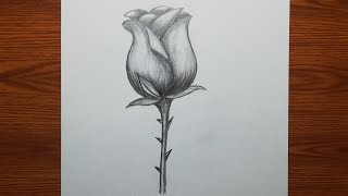 Karakalem Kolay Gül Çizimi. Gül Çizimi Nasıl Yapılır. Pencil Drawing Rose Flower Easy.