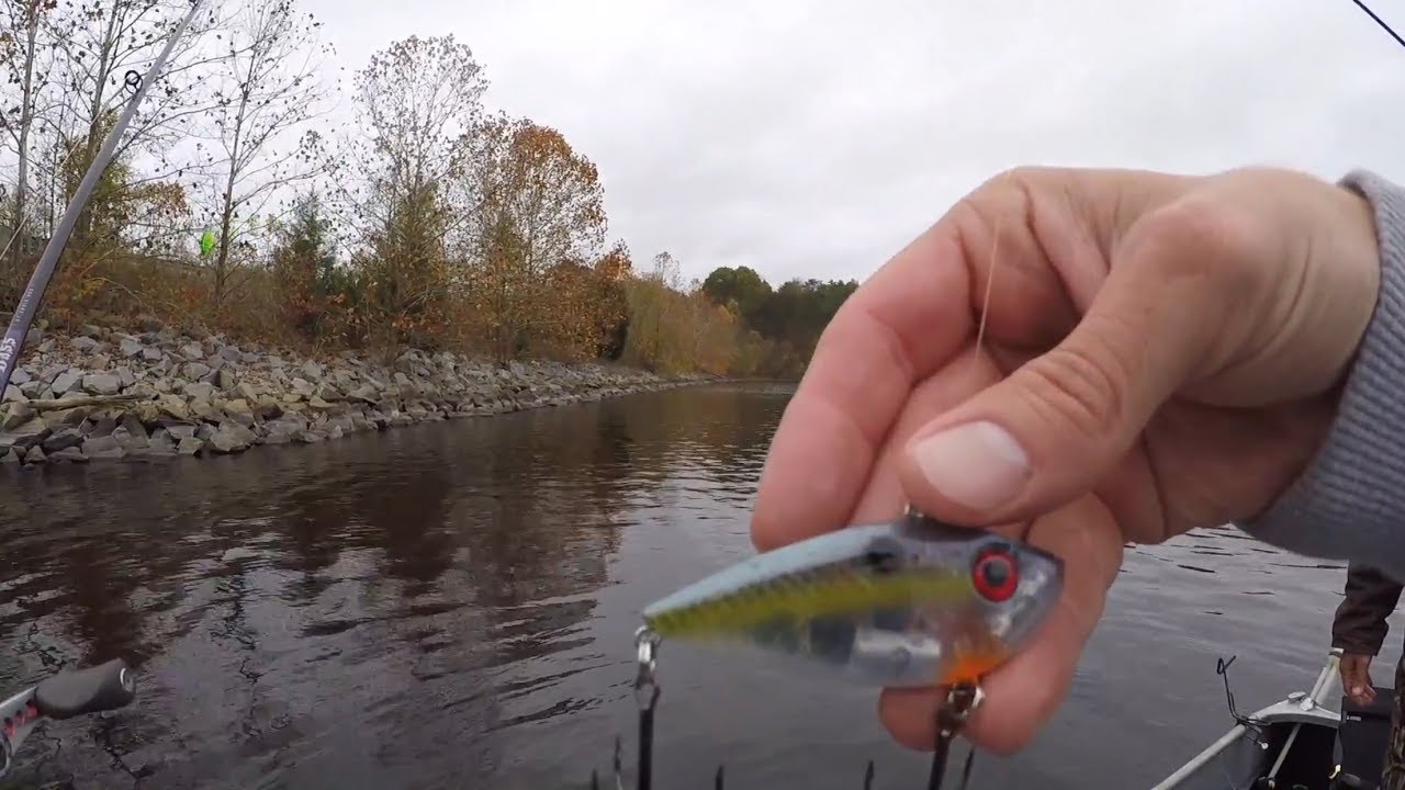 Lipless Crankbaits for Fall Bass at Sandy River Reservoir
