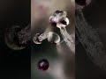 Beautiful colors 📸 #macrophotography
