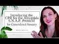 Self havening for anxiety  cpr for the amygdala  the snap protocol for rapid relief