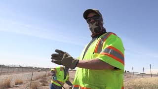 D2   Roswell Patrol   Trash Pick up