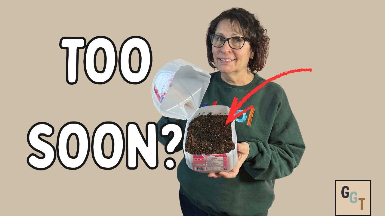 When to Start Winter Sowing in Zones 3–5 - Don't Rush!