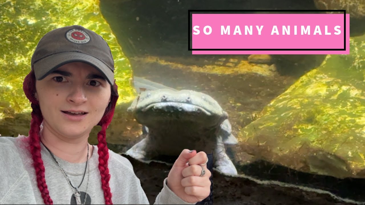 Family Zoo Trip At Columbus Zoo and Aquarium