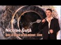 NICOLAE GUTA - INTR-O CLIPA SI UN MINUT, DOINA LIVE