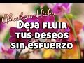 Abraham-Hicks en español ~ Deja fluir tus deseos sin esfuerzo