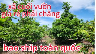 4/6 Mai giảo thủ đức alo 0366.404.909 xã rẻ cuối vườn tri ân khách hàng