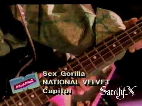 National Velvet - Sex Gorilla (Official Music Video)