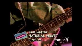 National Velvet - Sex Gorilla (Official Music Video)