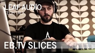 LEAF AUDIO (EB.TV Tech Talk)