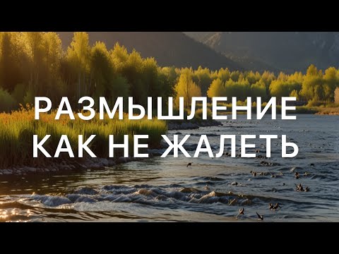 Как перестать жалеть