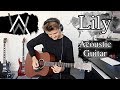 Lily - Acoustic Guitar Cover - Alan Walker