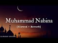 Muhammad nabina ramadan special hamada helal  music material  textaudio