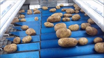 Newtec Celox XT - for Potatoes
