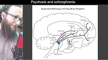 04 05 - Five dopamine pathways in the brain - مسارات الدوبامين الخمسة في الدماغ