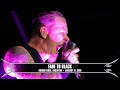 Metallica: Fade to Black (Buenos Aires, Argentina - January 21, 2010)