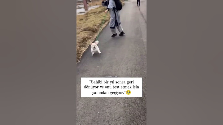 Sahibini bir yıl sonra gören köpek 🥺 #sad #shorts