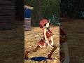 【誰が一番似てる?】宝鐘マリンポーズをするホロライブ所属VTuberたち【戌神ころね/夜空メル/猫又おかゆ/湊あくあ/紫咲シオン/兎田ぺこら/天音かなた/Marine/hololive】#Shorts