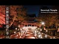 京都最古の禅寺 建仁寺 Kenninji, the oldest Zen temple in Kyoto 紅葉とライトアップ night view SONY ZV-1