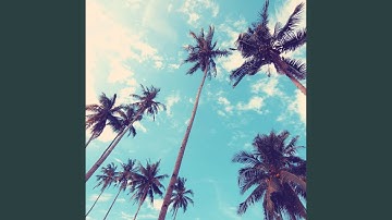 Alluring Moods for Beach Holiday