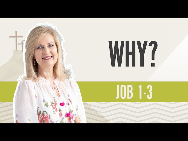 Why? | Job 1-3