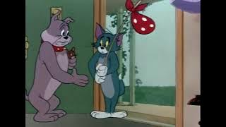 Tom & Jerry — Ep: 88 [5] “Pet Peeve” — 1954 #tomandjerryvideos #cartoonvideosforkids #funnycartoon